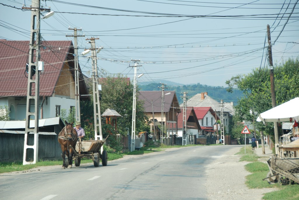 Horse-drawn Carriage