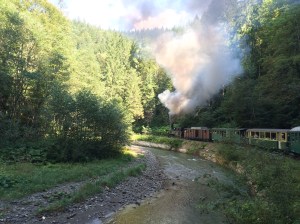 Mocănița in the forest